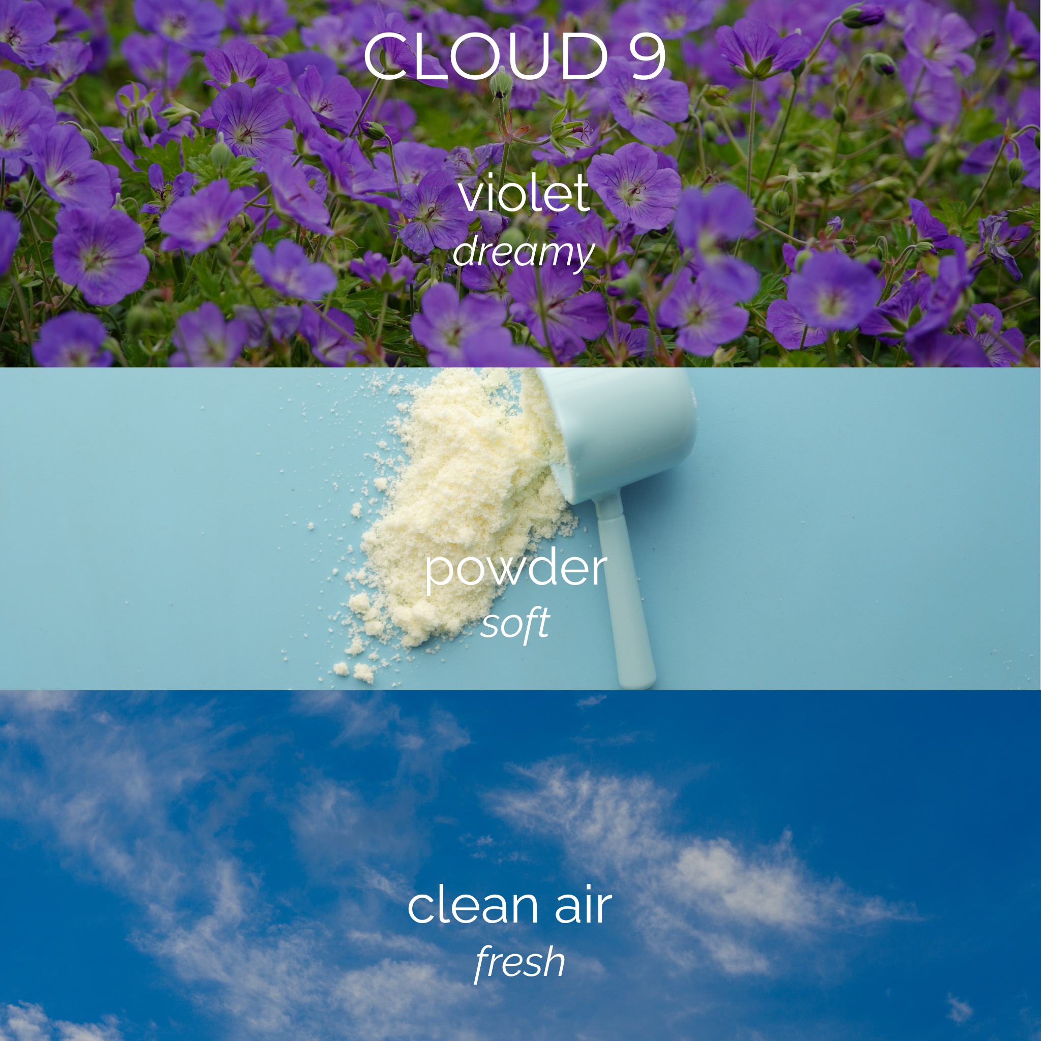 Luxe Wicks cloud 9 scent profile