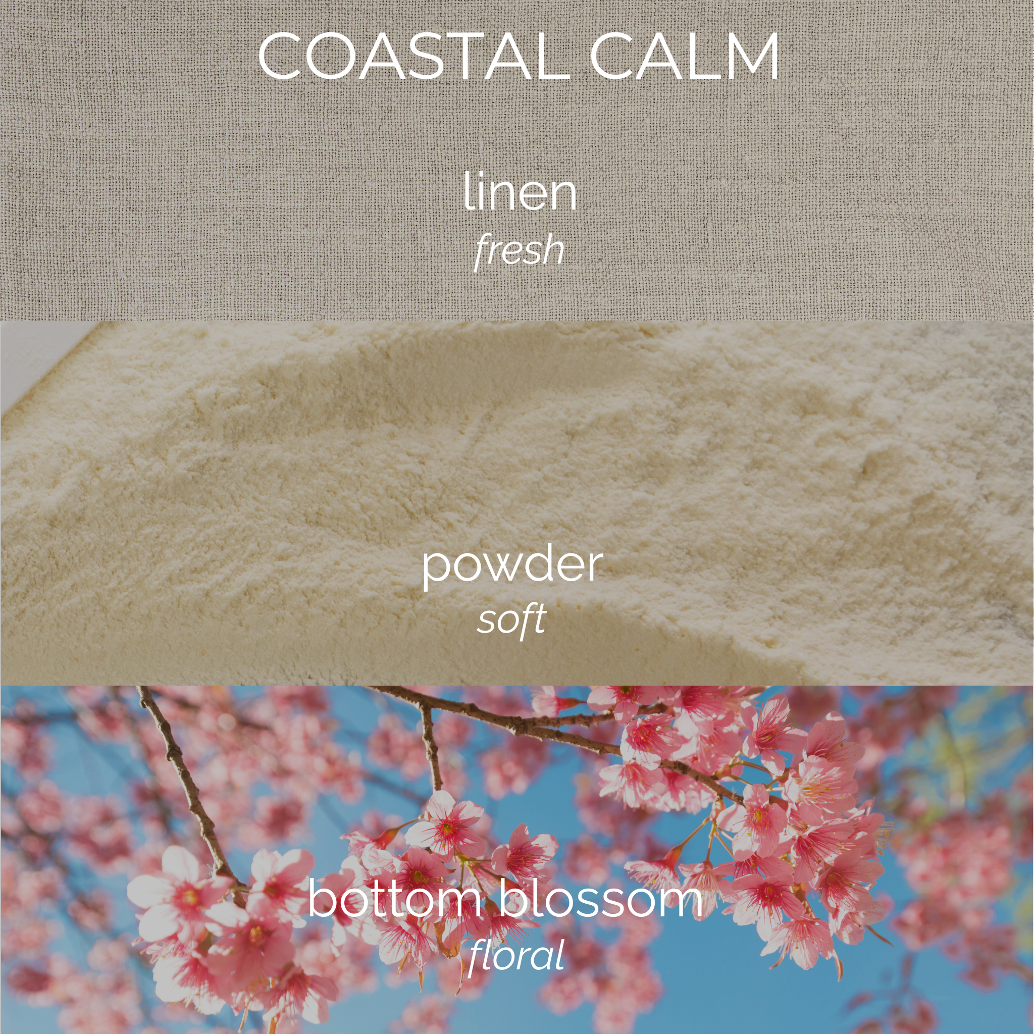 Coastal Calm Candle